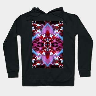 Universum Blumen PATTERN Hoodie